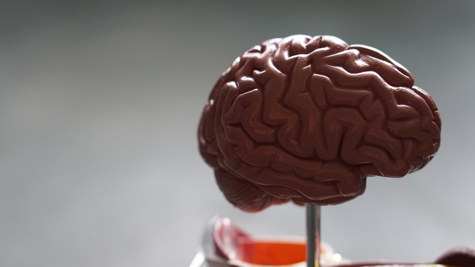 neurologist for AI