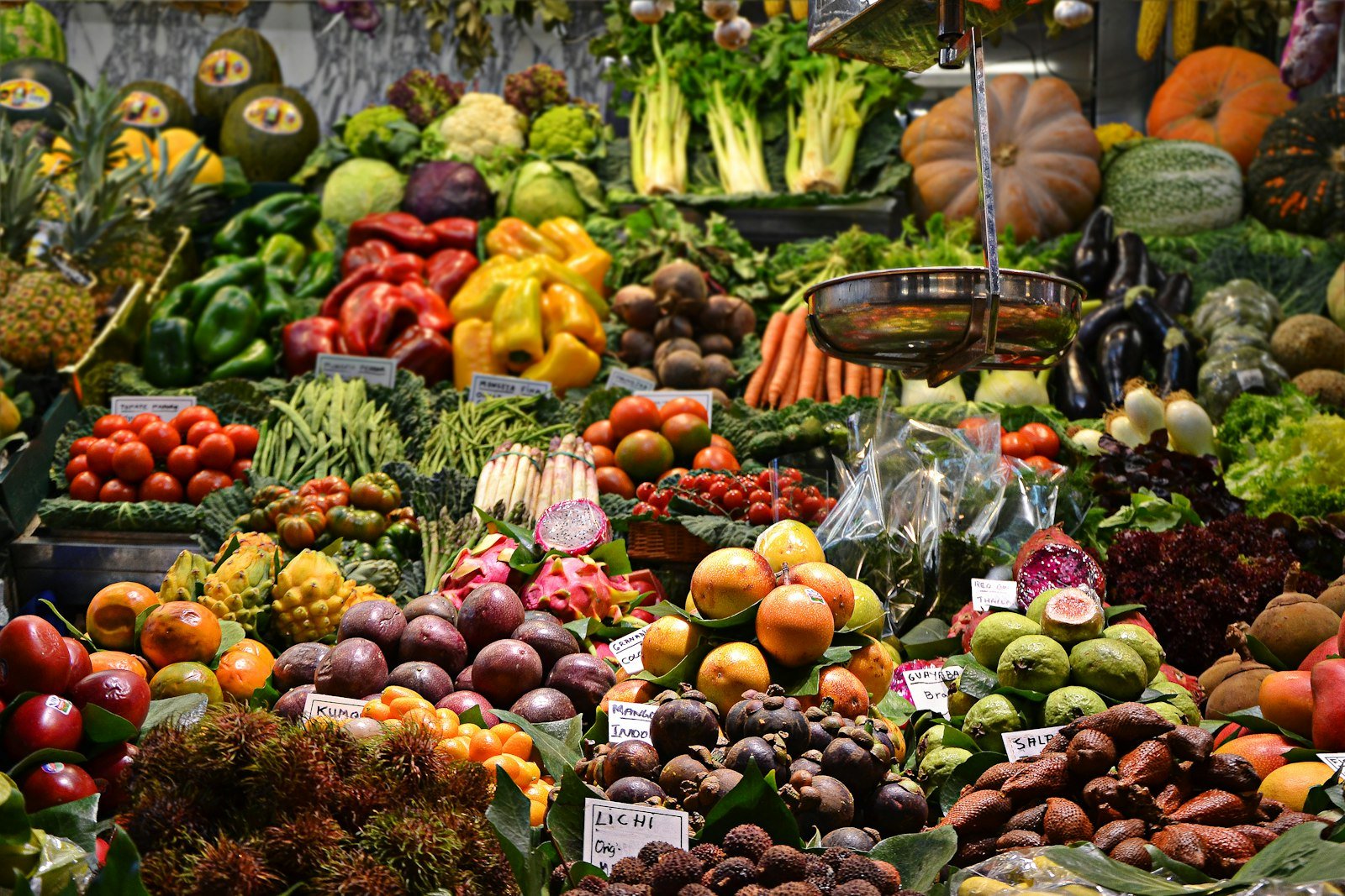 Gut Health Australia: Everything You Need to Know 2026 7 gut health Australia